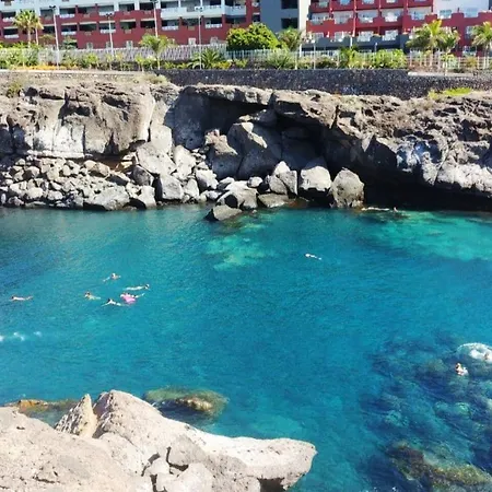 Family Paradise Premium